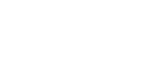 Peter Services logo